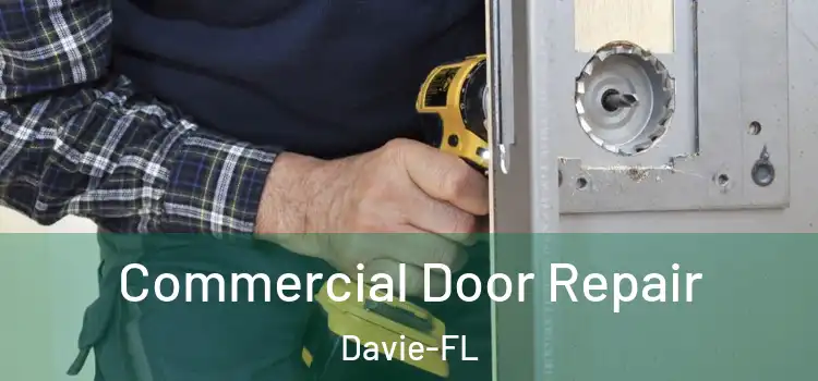 Commercial Door Repair Davie-FL