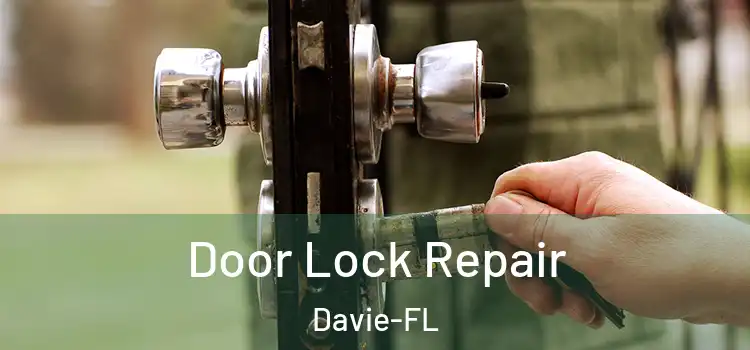 Door Lock Repair Davie-FL