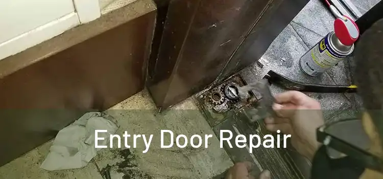 Entry Door Repair