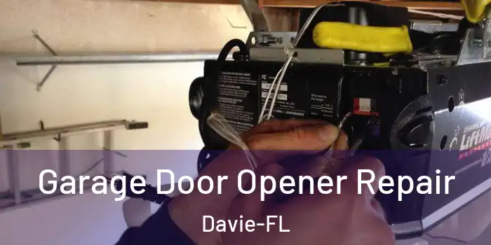 Garage Door Opener Repair Davie-FL