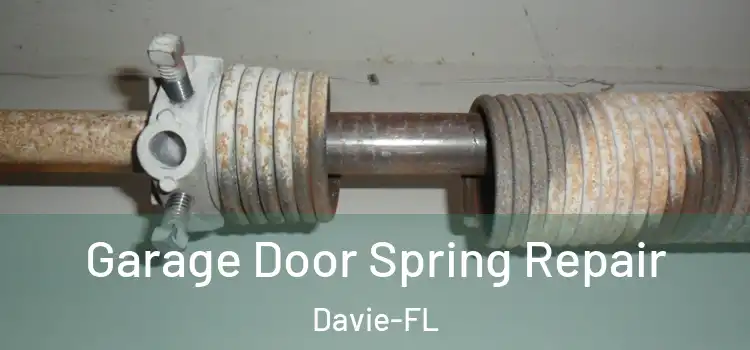 Garage Door Spring Repair Davie-FL