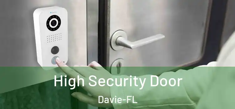 High Security Door Davie-FL