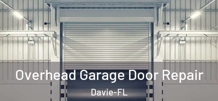 Overhead Garage Door Repair Davie-FL