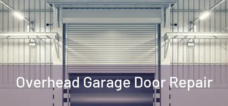 Overhead Garage Door Repair