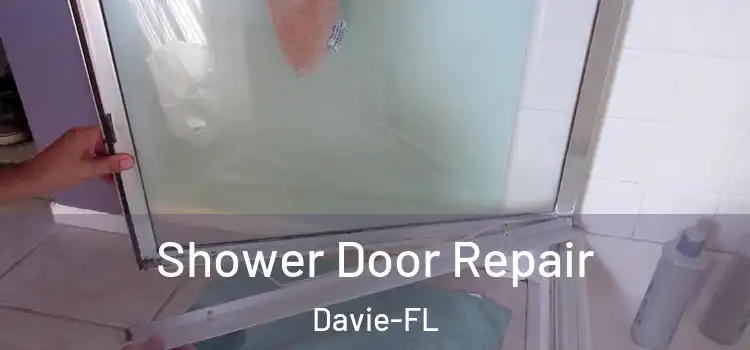 Shower Door Repair Davie-FL