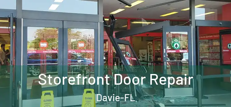 Storefront Door Repair Davie-FL